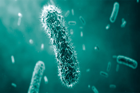 The Human Microbiome: Slowly Getting There