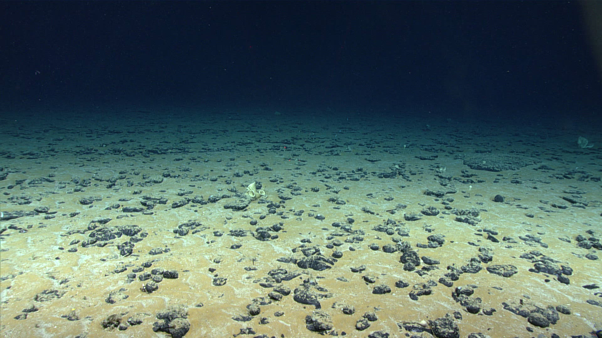 Deep Sea Mineral Mining: Impacts on Marine Ecosystems and Climate Change