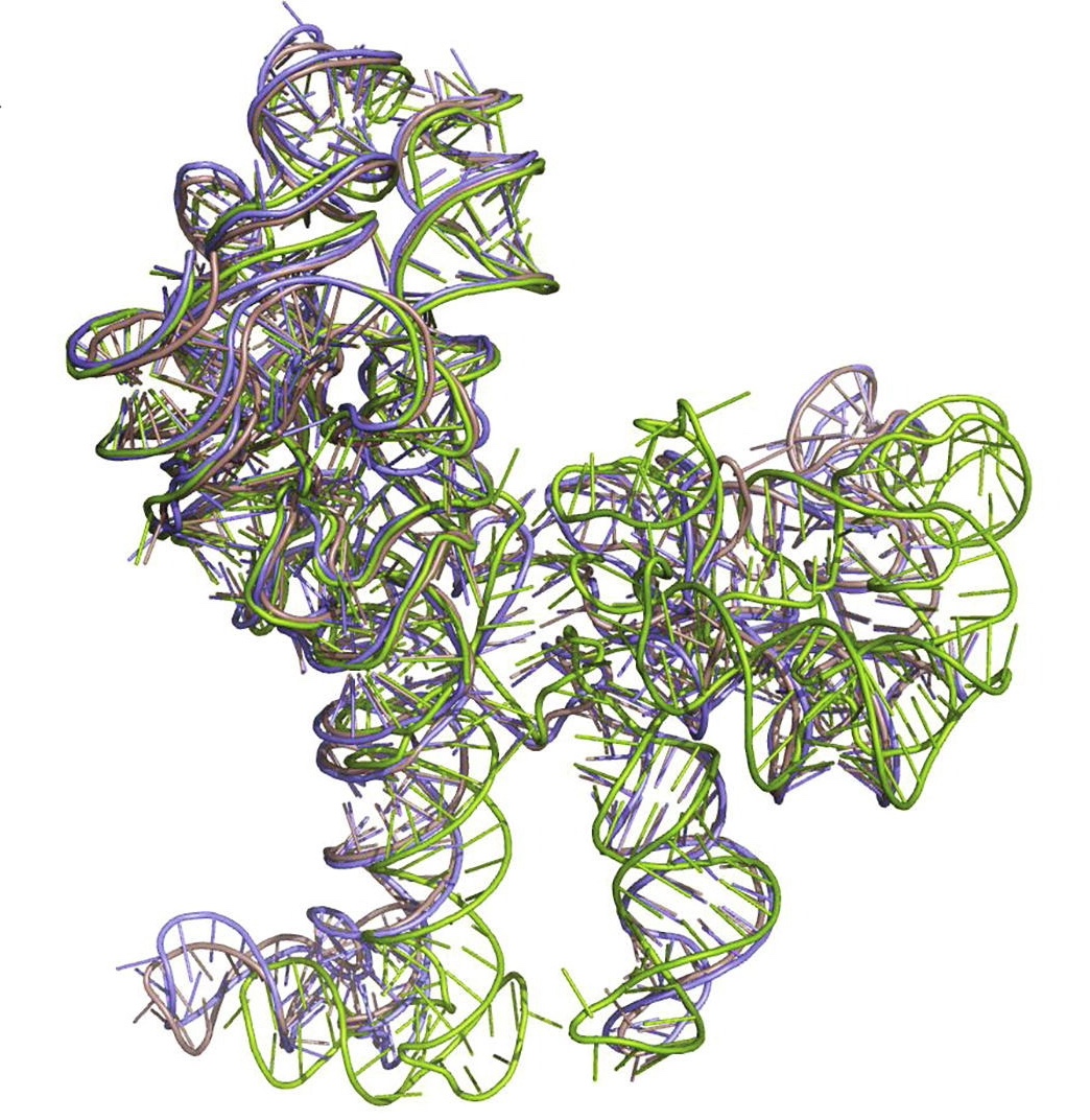 Traversing Tumors:  How Single-cell RNA Sequencing Maps Malignant Tumors